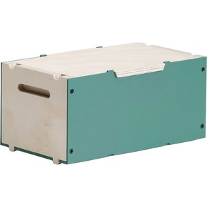 Cutie depozitare Busa, 22 x 12.4 x 10 cm, verde