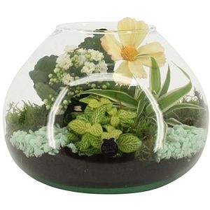 Aranjament floral, D20 cm, H 20 cm