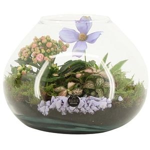 Aranjament floral, D20 cm, H 20 cm