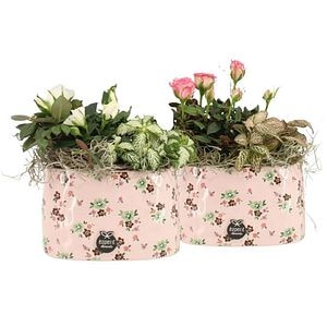 Planta Aranjament floral - Love, D14, H20