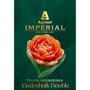 Lalea Gudoshnik Double IMPERIAL, 5 bulbi